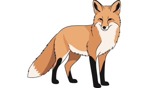 Illustration of a fox