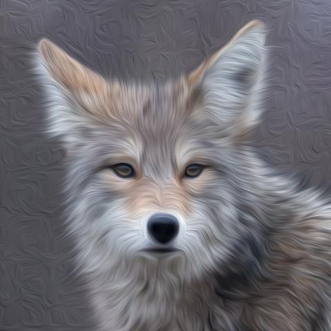 Stylized image of a coyote